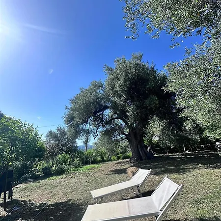 La Casa Del Maestro Εξοχικό σπίτι Pisciotta