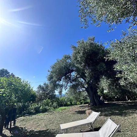La Casa Del Maestro * Pisciotta