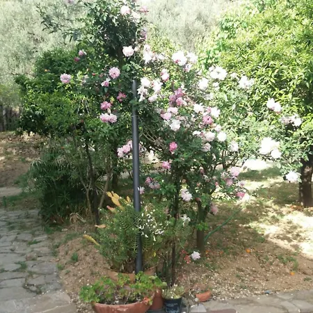 La Casa Del Maestro *