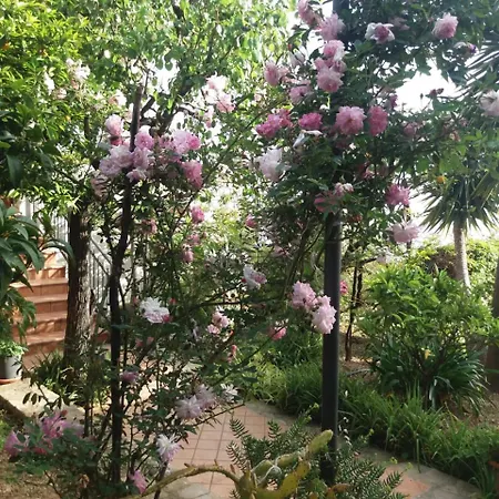 Landhuis La Casa Del Maestro Pisciotta