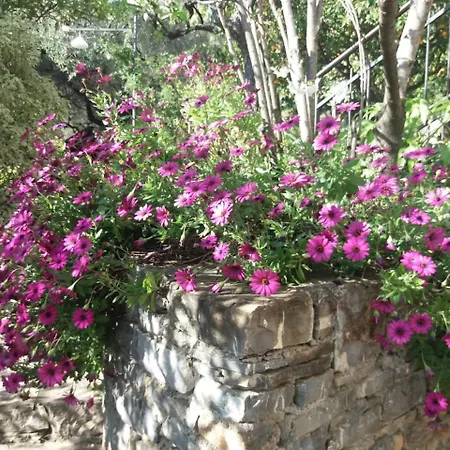 Landhuis La Casa Del Maestro Pisciotta