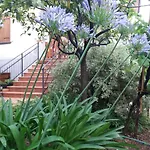 Gospodarstwo wiejskie La Casa Del Maestro Pisciotta