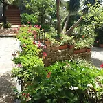 Gospodarstwo wiejskie La Casa Del Maestro Pisciotta