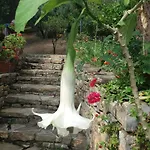 Gospodarstwo wiejskie La Casa Del Maestro Pisciotta
