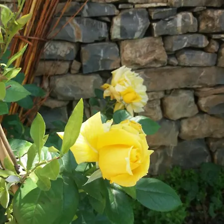 La Casa Del Maestro Casa de Campo