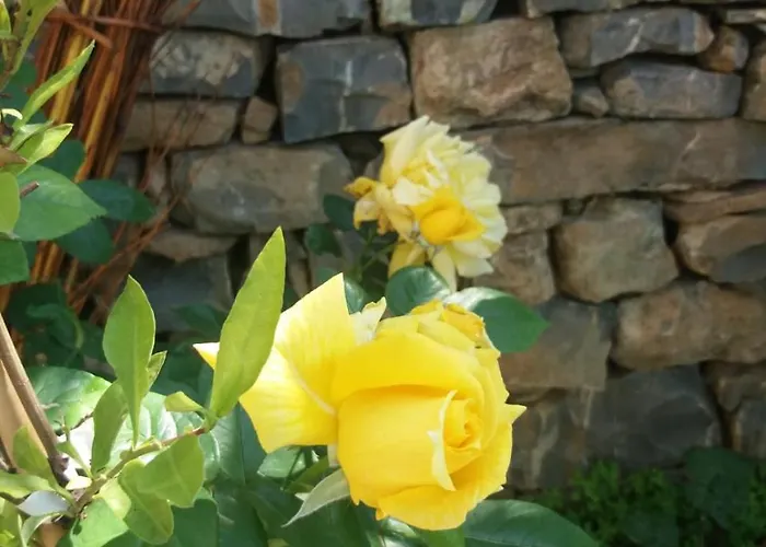 La Casa Del Maestro Casa de Campo